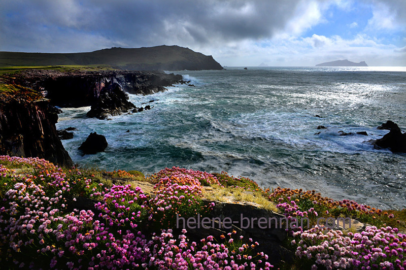 Clogher 3709 Photo