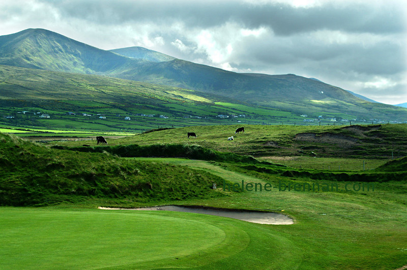 View from Castlegregory Golf Club 16 Photo