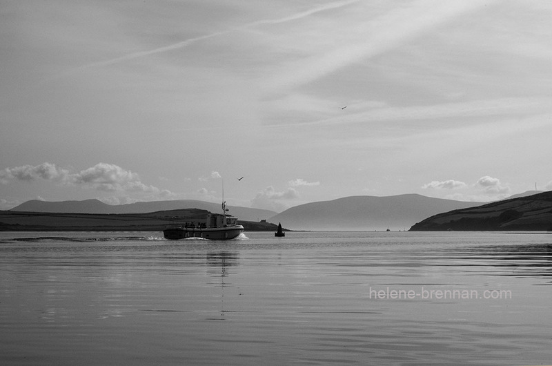Dingle Harbour 7003 Black and White Photo