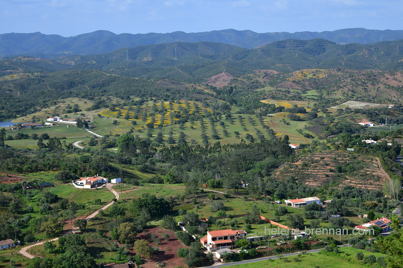 Rural Landscape 0084 Photo