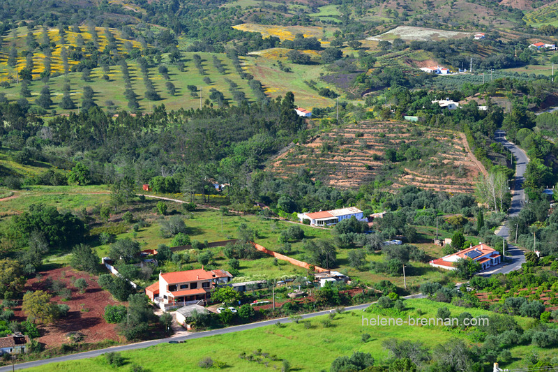 Rural Landscape 0088 Photo