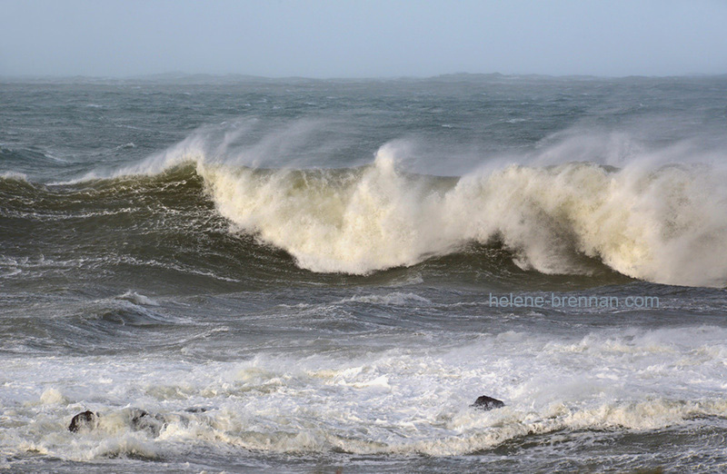 Breaking Wave 4216 Photo