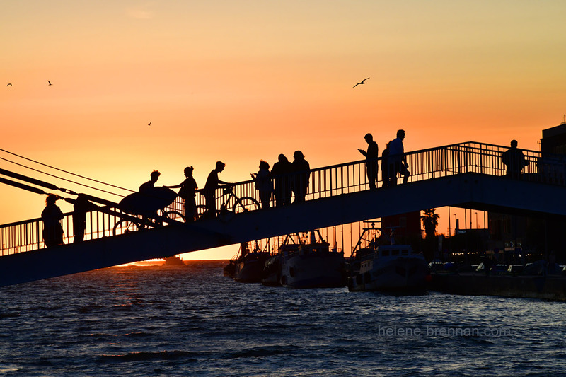 Fiumicino Port Bridge 0779 Photo