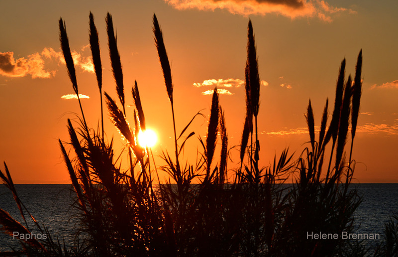 Paphos Sunset 1192 Photo