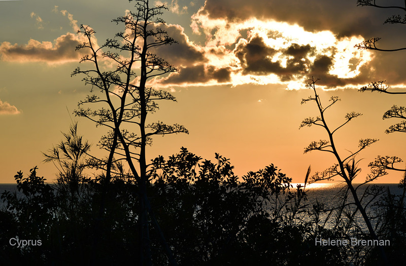 Paphos Sunset 1173 Photo