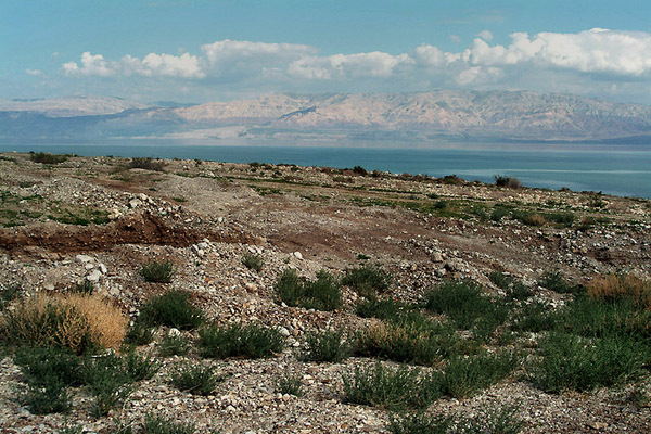 Dead Sea 4 Photo