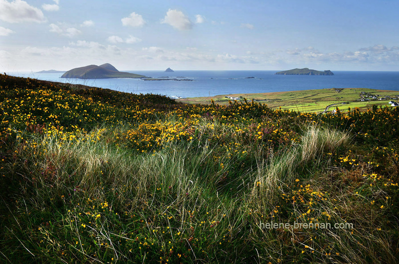 Blasket Islands from Mt Eagle 0855 Photo