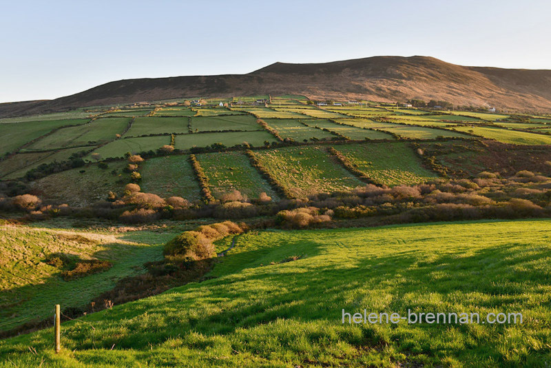 Dingle Roadside View 3615 Photo