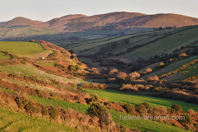 Dingle Roadside View 3630 Photo