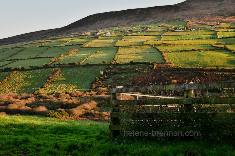 Dingle Roadside View 3621 Photo