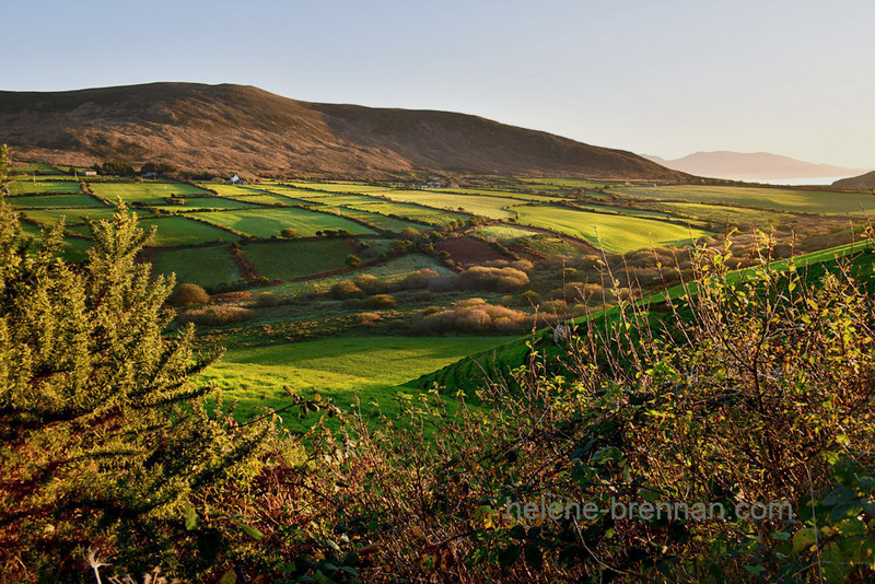 Dingle Roadside View 3624 Photo