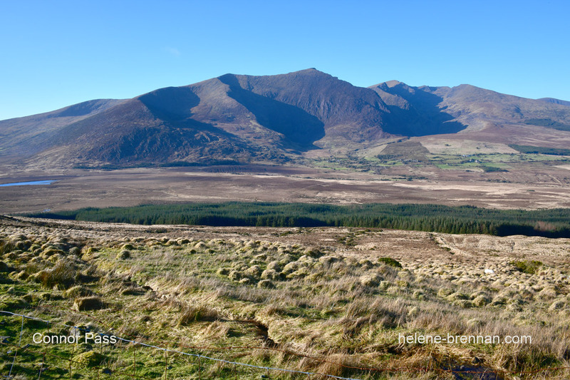 Conor Pass 1423 Photo