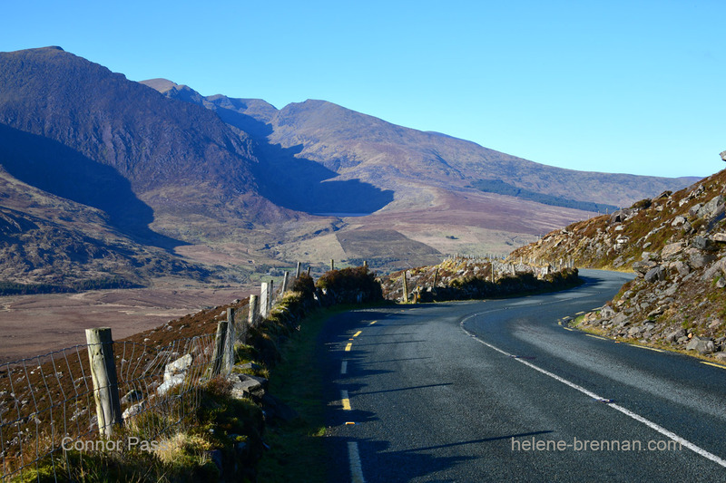 Conor Pass 1429 Photo